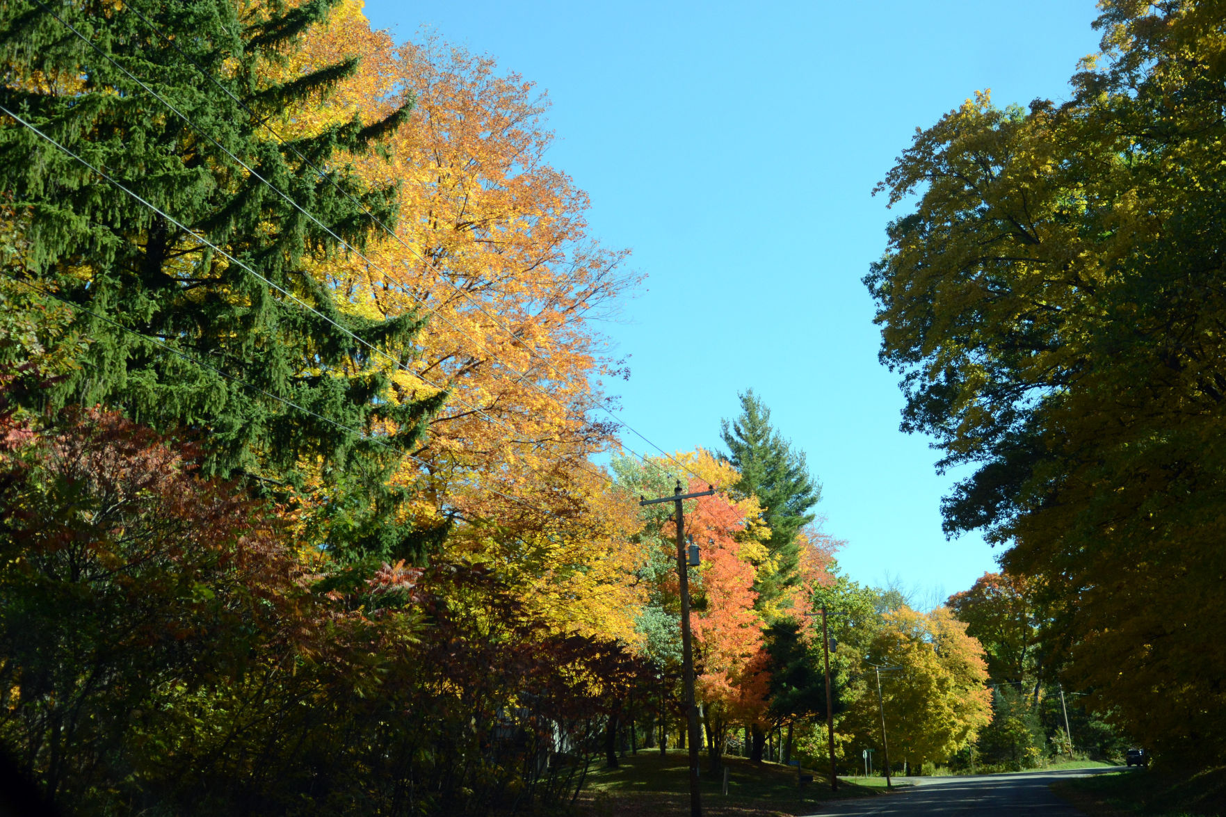 Baraboo area fall color, Oct. 8, 2020